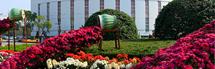 yp街机·电子游戏(中国)官方网站