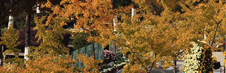 yp街机·电子游戏(中国)官方网站